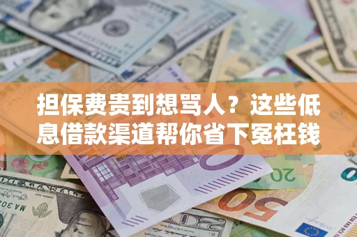 北京担保费贵到想骂人？这些低息借款渠道帮你省下冤枉钱