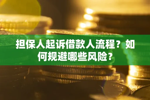 北京担保人起诉借款人流程？如何规避哪些风险？
