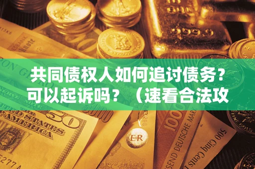 北京共同债权人如何追讨债务？可以起诉吗？（速看合法攻略）