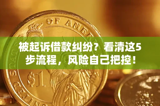 北京被起诉借款纠纷？看清这5步流程，风险自己把控！