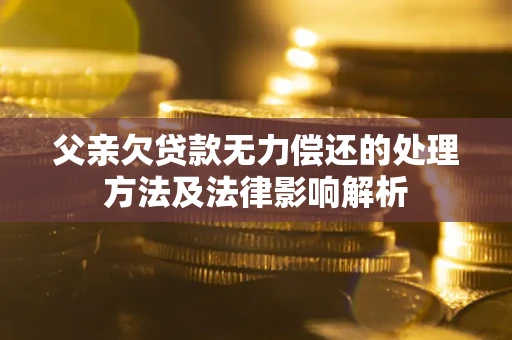 北京父亲欠贷款无力偿还的处理方法及法律影响解析